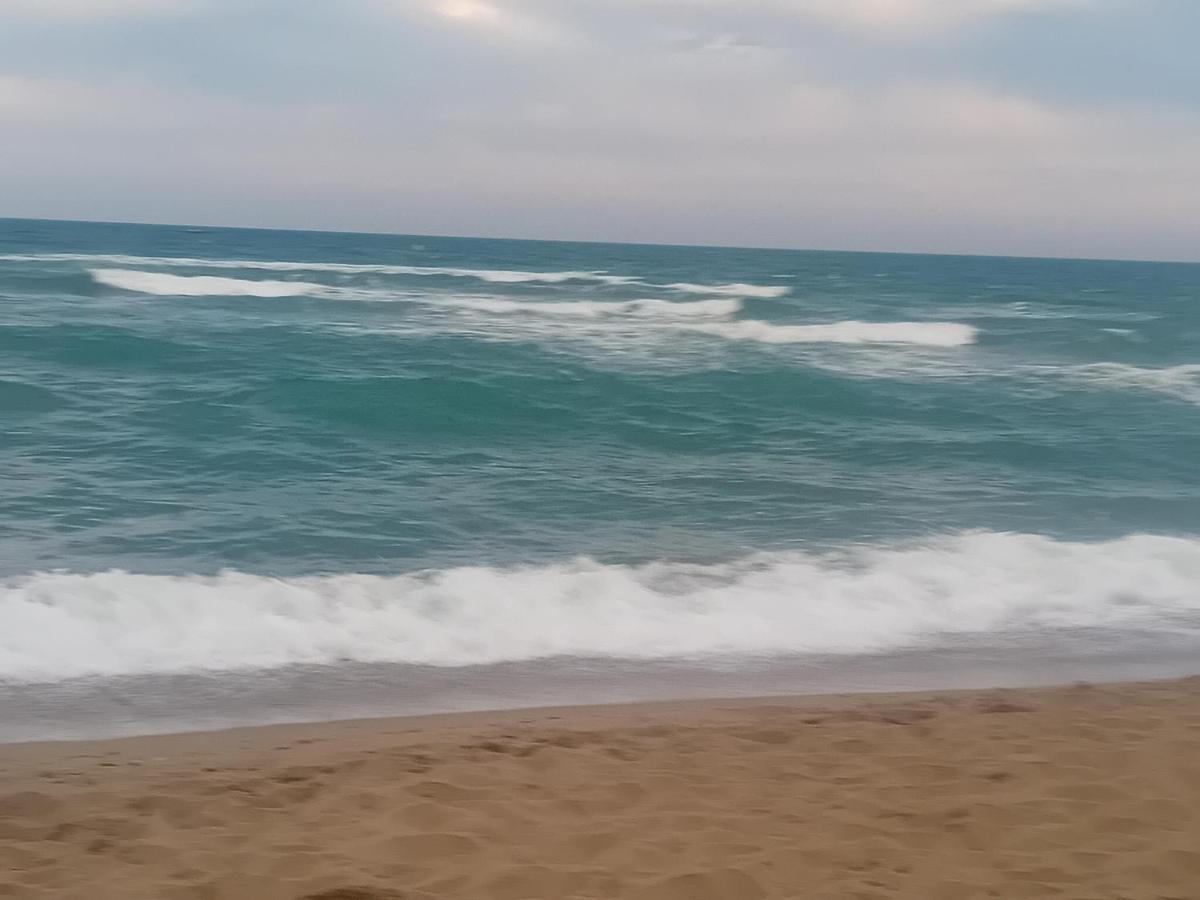 לה ברקרה Residence Au Soleil Avec Piscine A 150M De La Plage - Barcares מראה חיצוני תמונה